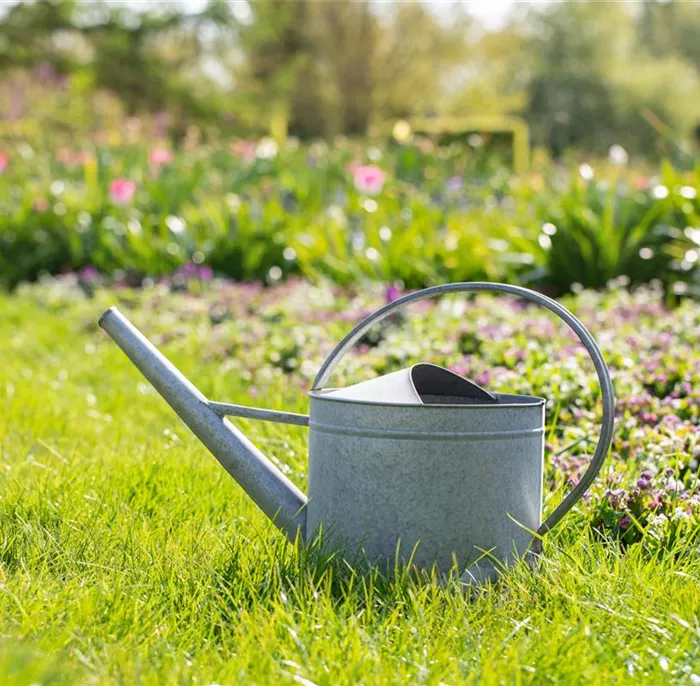 Gießkanne im Garten